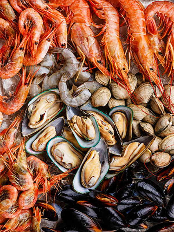 Shellfish